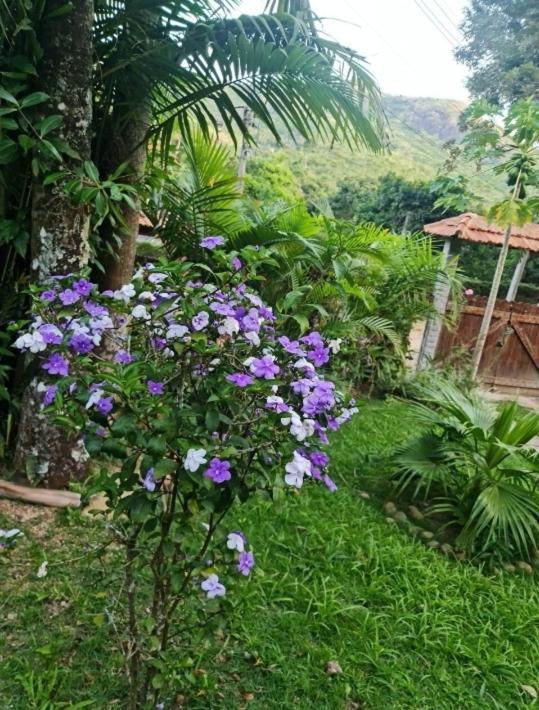 Sitio Borges Villa Petrópolis Exteriör bild